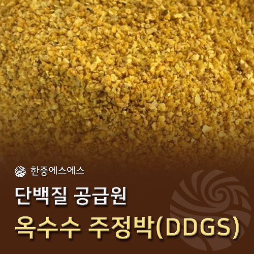 옥수수주정박(DDGS), 조단백 29% 이상 / 운반비 별도, 900kg